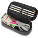 SCHOOL CASE