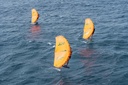 KT WING 2023