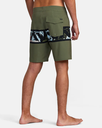 MONSTERA 2.0 VA BANDED TRUNK