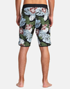 MONSTERA 2.0 EASTERN 20