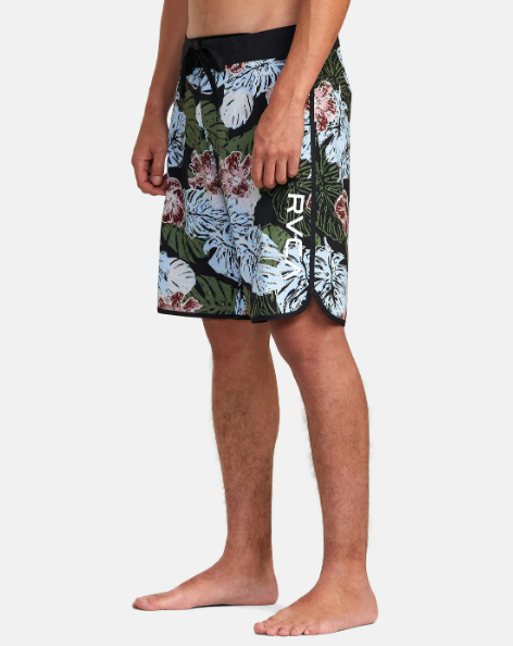 MONSTERA 2.0 EASTERN 20