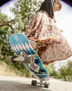 31.25'' DINE' SKATE GARDEN SURFSKATE C7 COMPLETE V4