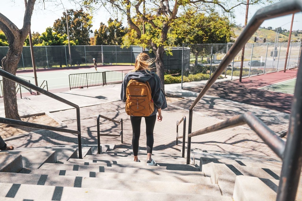 TARDY SLIP BACKPACK 25L