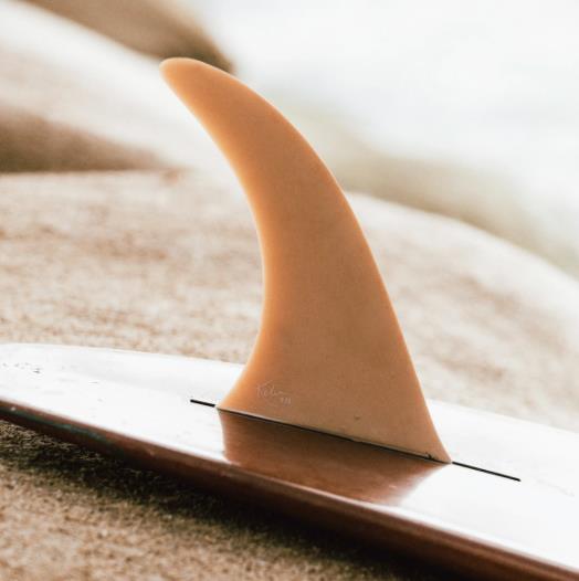 FCS II KELIA MONIZ PG 9.75"