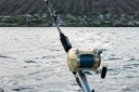 LURE WRAPS
