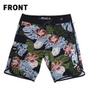 MONSTERA 2.0 EASTERN 20