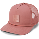COASTLINE TRUCKER
