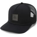 COASTLINE TRUCKER