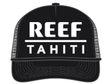 [3FXWC08910821I] TAHITI TRUCKER SANDBAR
